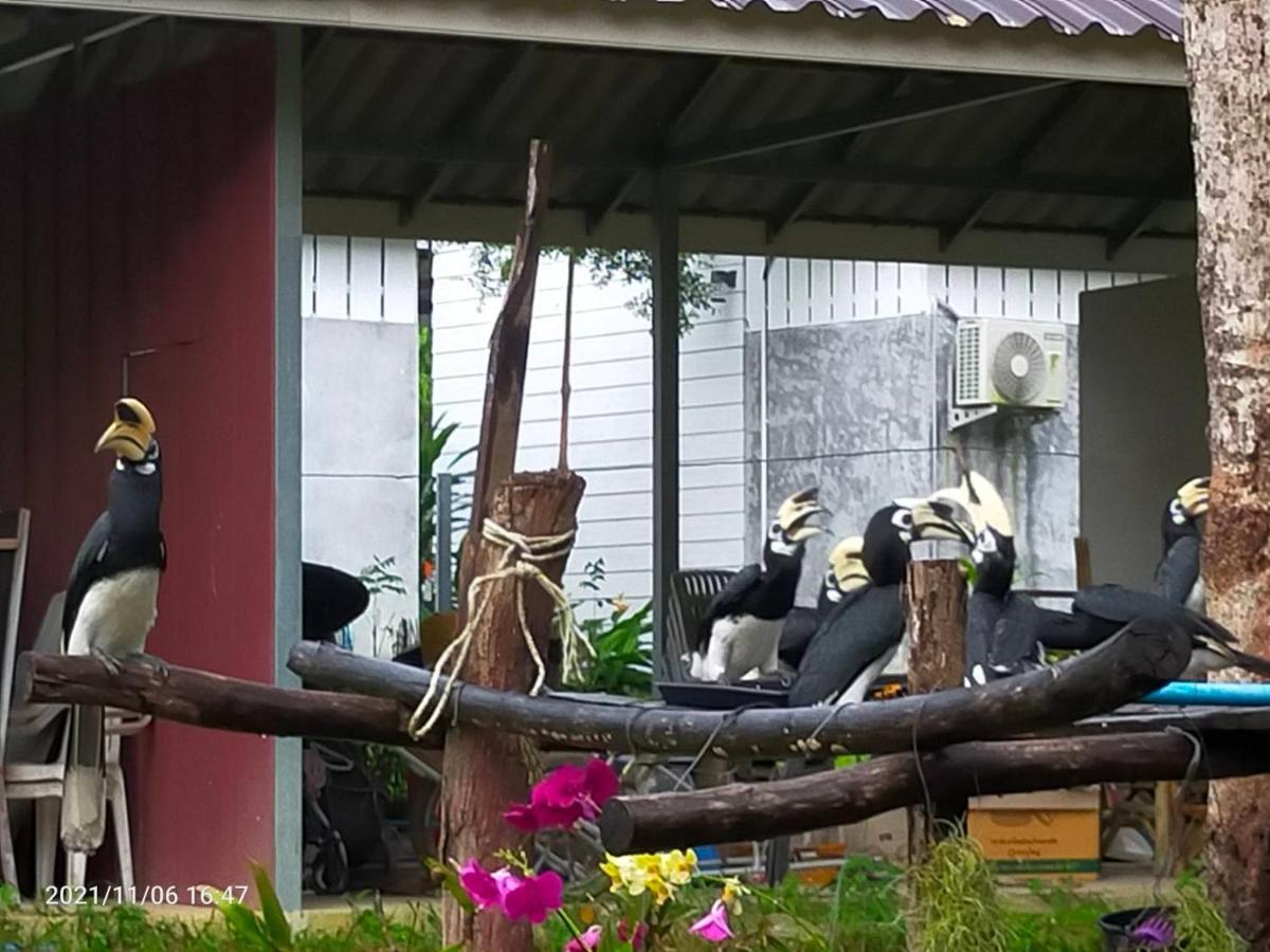 Eco Bungalow Koh Phayam Zewnętrze zdjęcie
