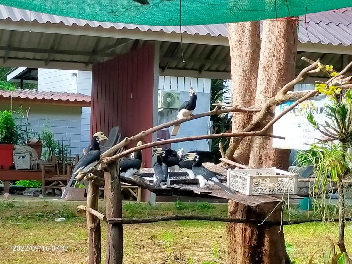 Eco Bungalow Koh Phayam Zewnętrze zdjęcie