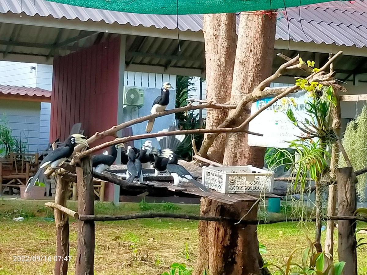 Eco Bungalow Koh Phayam Zewnętrze zdjęcie