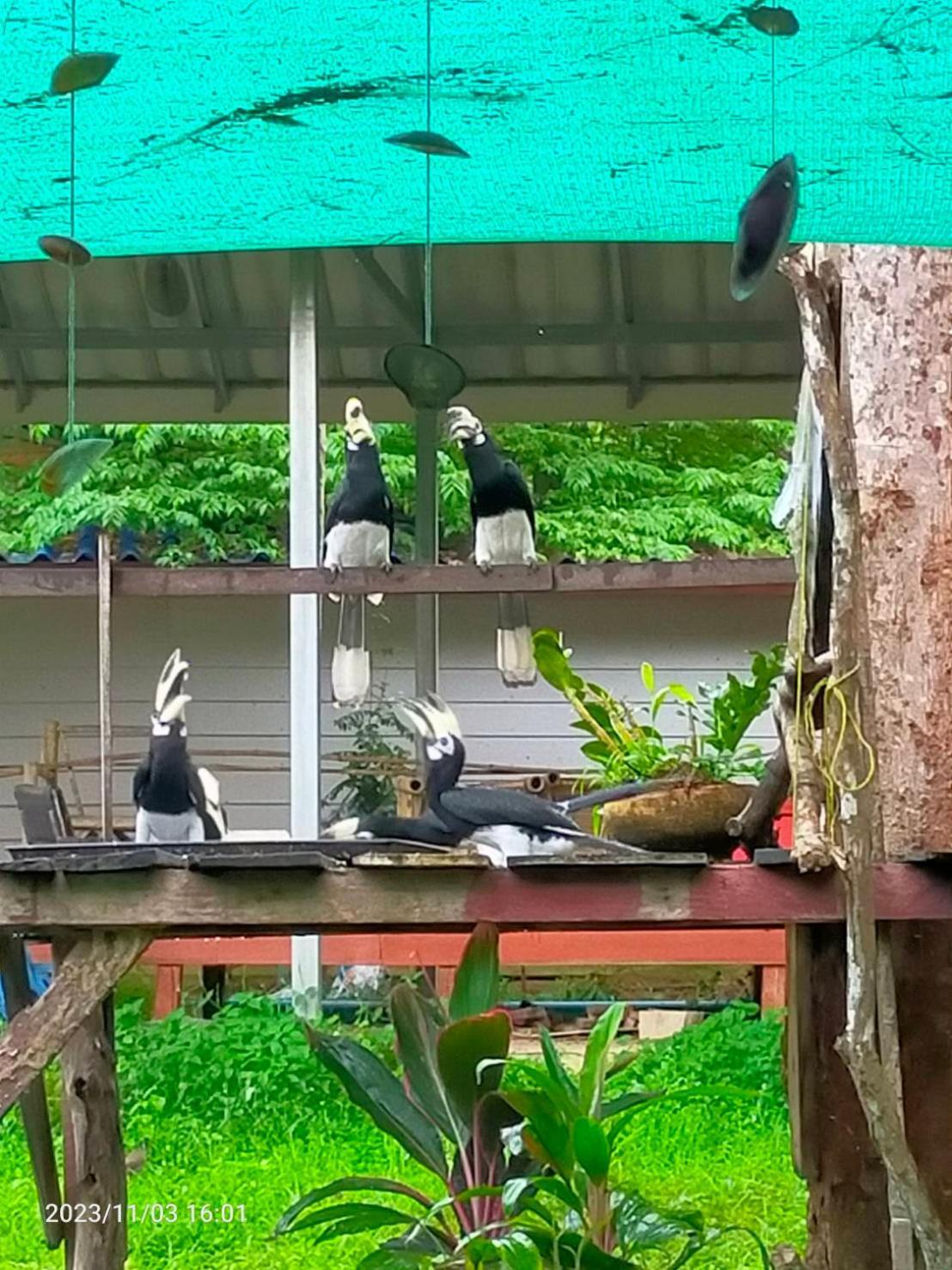 Eco Bungalow Koh Phayam Zewnętrze zdjęcie